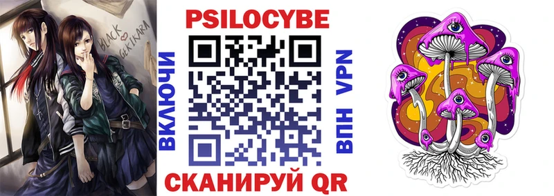 кракен сайт  Керчь  Галлюциногенные грибы Psilocybe 